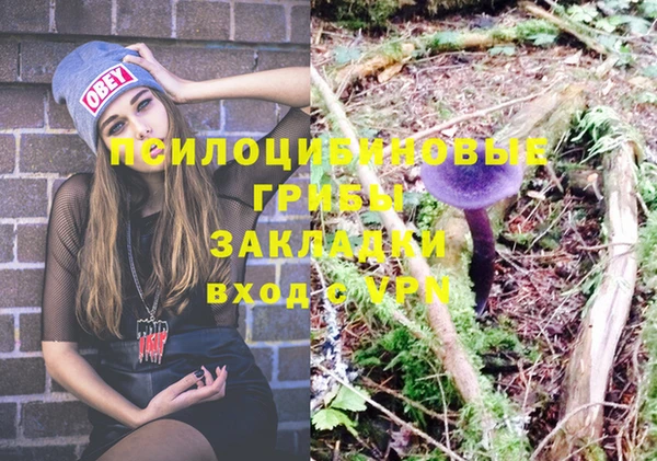 мяу мяу мука Армянск