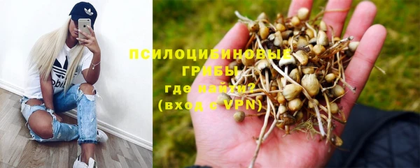 мескалин Аркадак