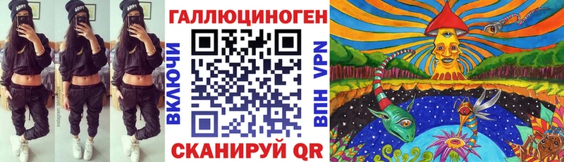 где можно купить   Островной  Псилоцибиновые грибы GOLDEN TEACHER 